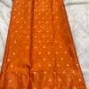 saree body